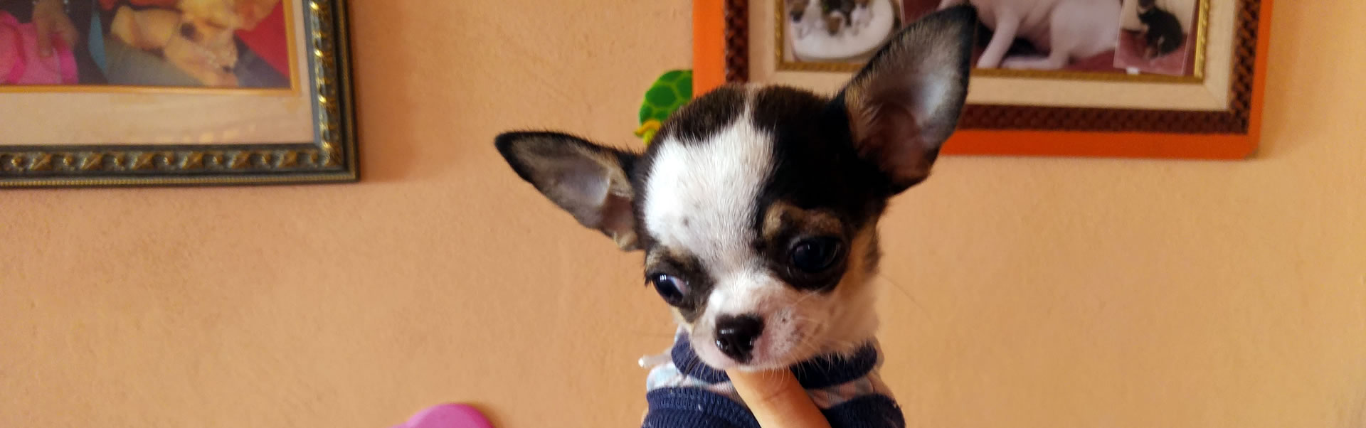 Te quiero, ¿y tú?